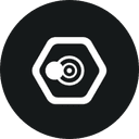 SNPIT tokenomics logo